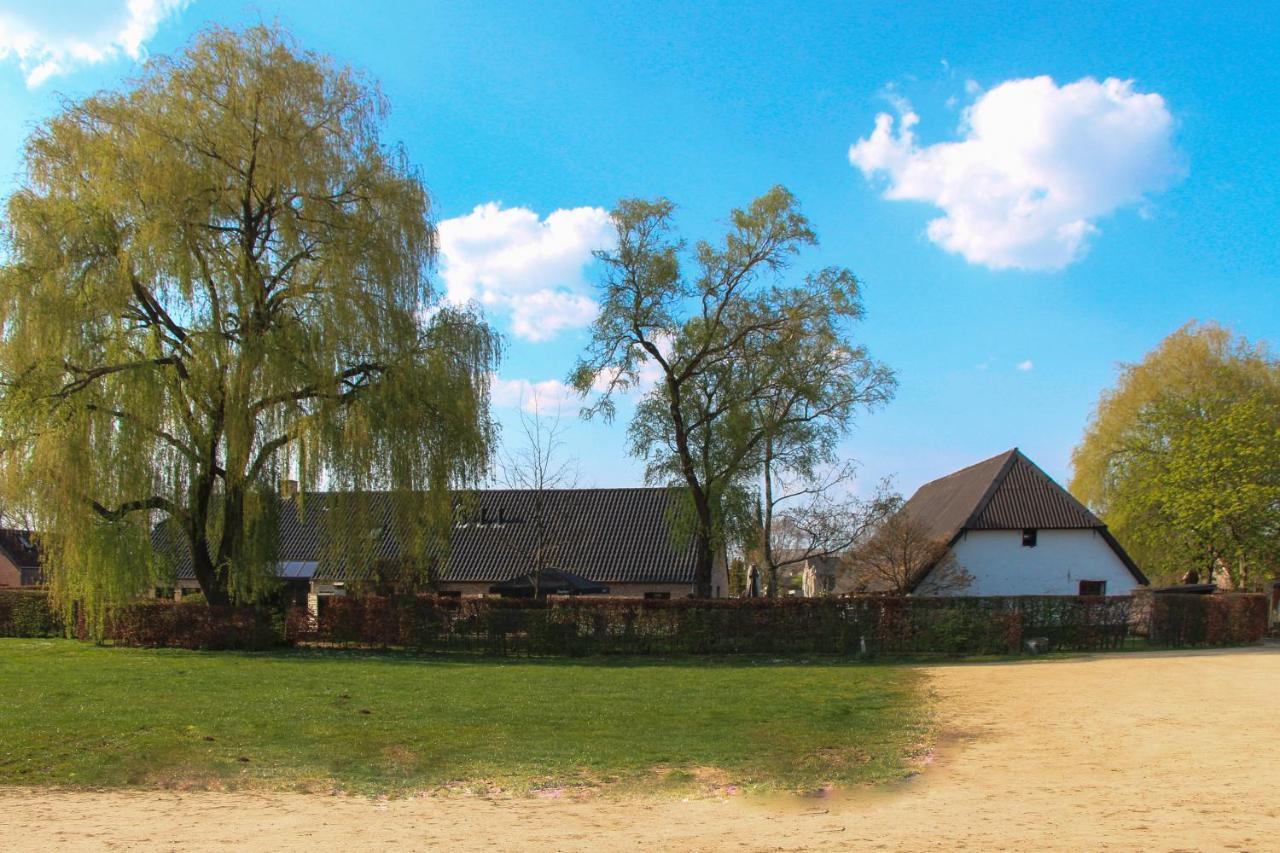 Bouwelhoeve 'T Schuur Grobbendonk Dış mekan fotoğraf